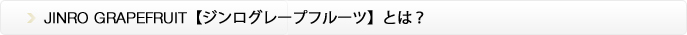 JINRO GRAPEFRUITとは？のタイトル