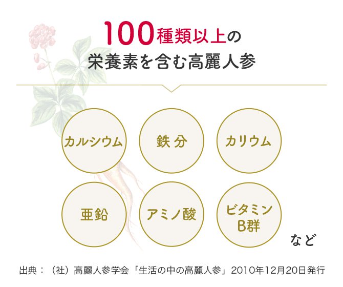 100種類以上の栄養素を含む高麗人参 出典:(社)高麗人参学会「生活の中の高麗人参」2010年12月20日発行