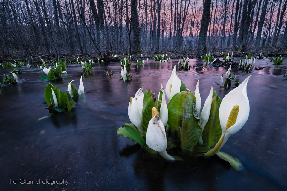 Kei Otani photography